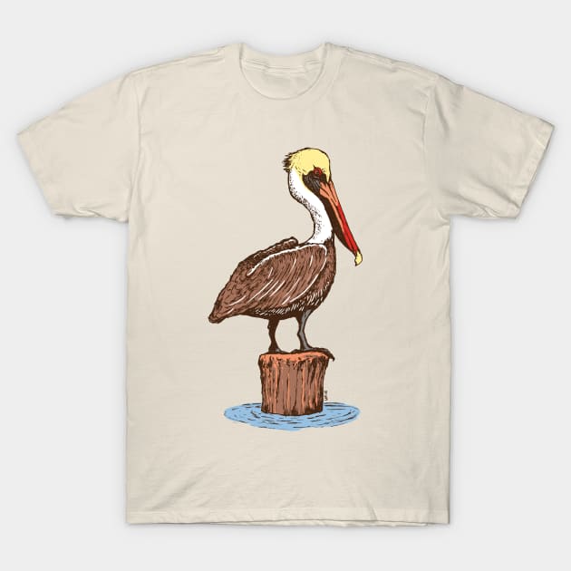 Brown Pelican T-Shirt by OBSUART